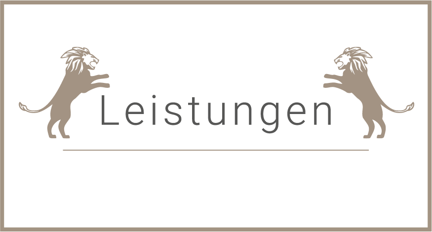 Robin Schmidt Leistungen